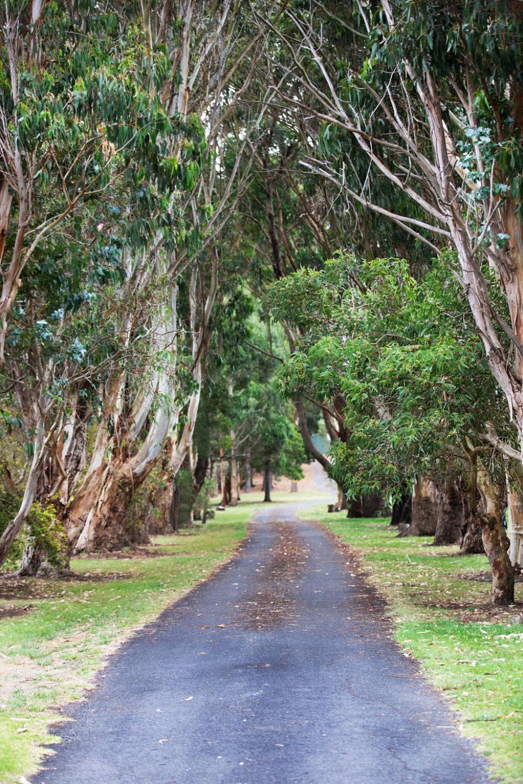 Clarendon Chalets Mount Gambier Exteriér fotografie