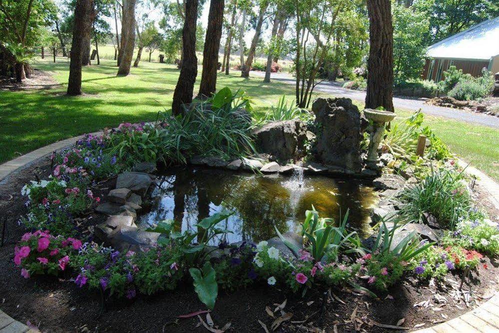 Clarendon Chalets Mount Gambier Exteriér fotografie